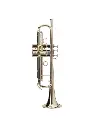 Adams A2 Yellow Brass Bb Trumpet - Lacquer