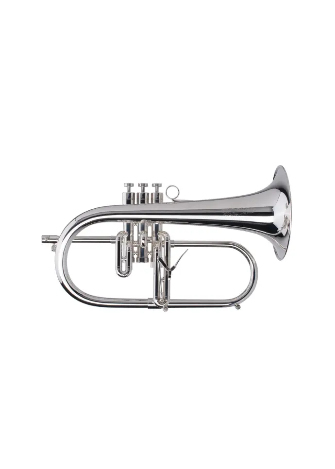 Adams F3V2 Yellow Brass Bb Flugelhorn Silver Plated