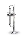 Adams Prologue Yellow Brass Bb Trumpet  Silver
