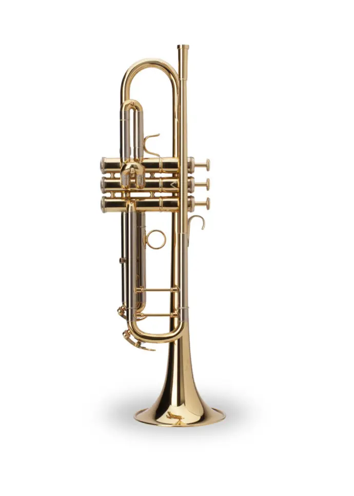 Adams Sonic Yellow Brass Bb Trumpet  Gold Lacquer