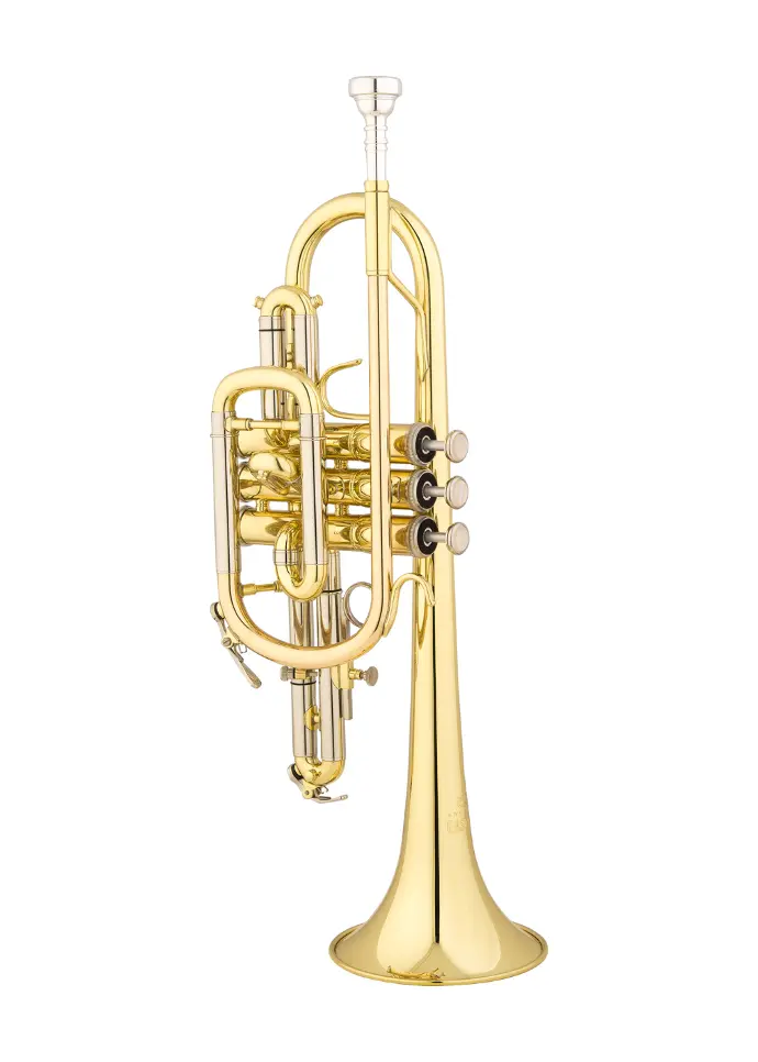 Eastman ECN223 Cornet Clear Lacquer