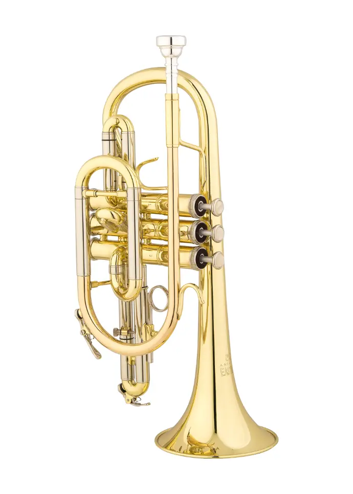 Eastman ECN225 Bb Cornet Clear Lacquer