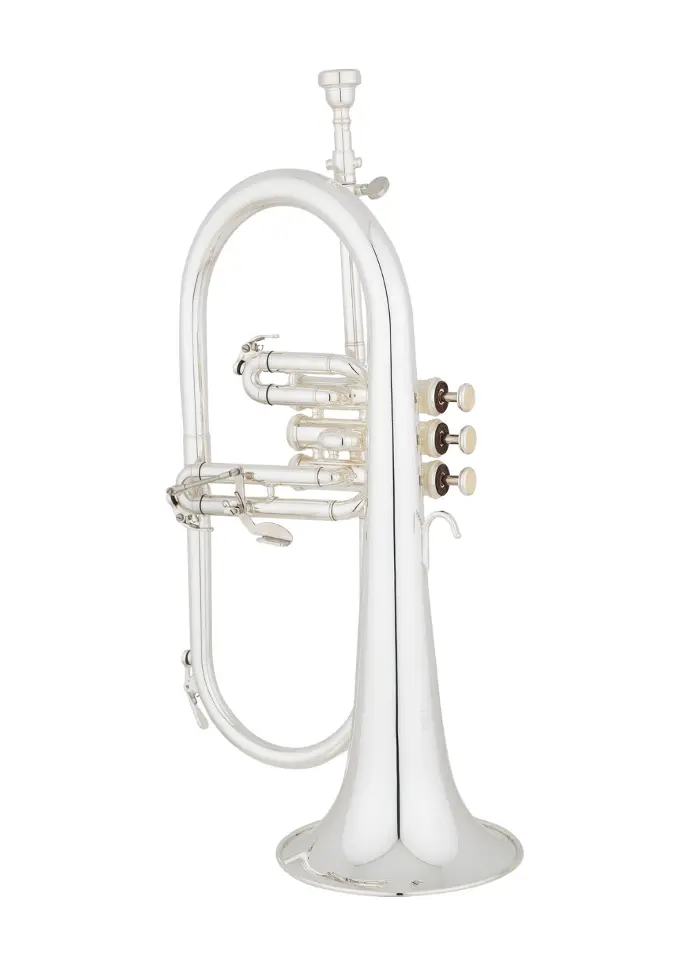 Eastman EFG421S Bb Flugelhorn Silver Plated