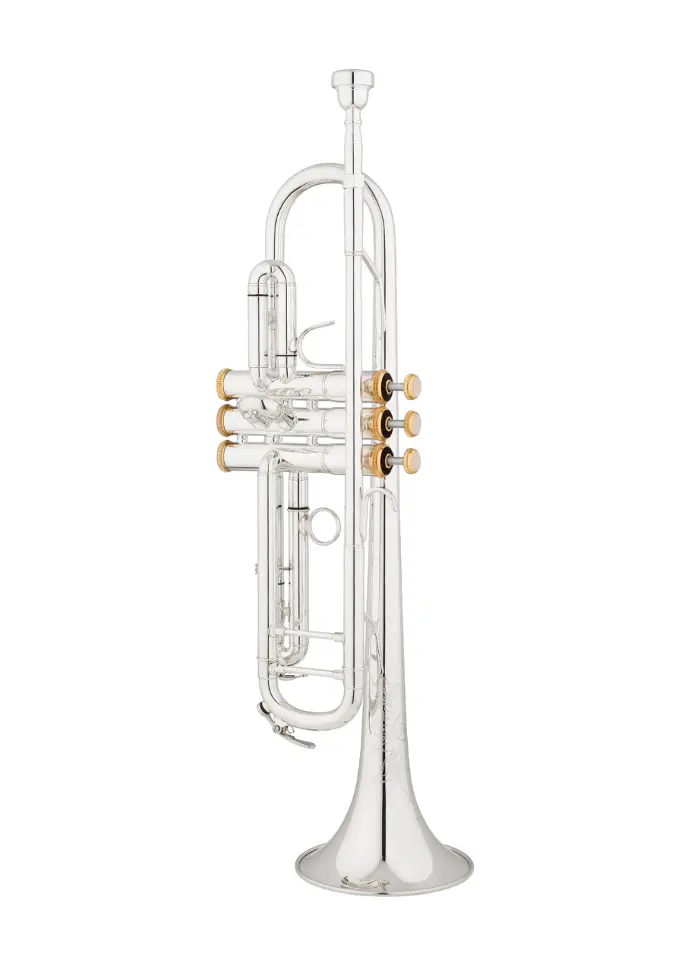 Eastman ETR524GS Bb Trumpet Gold Brass Bell & 24k Trim Kit