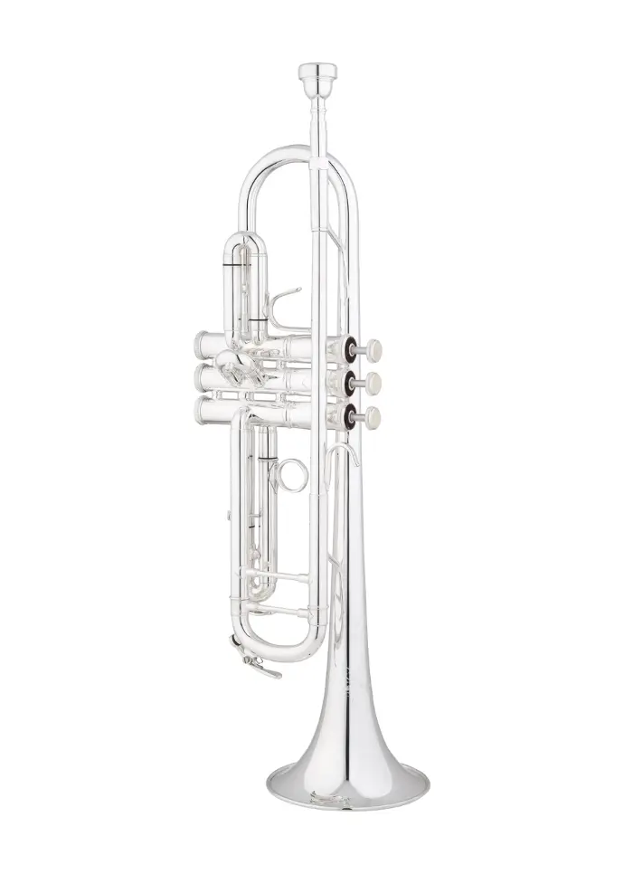 Eastman ETR524S Bb Trumpet Yellow Brass Bell
