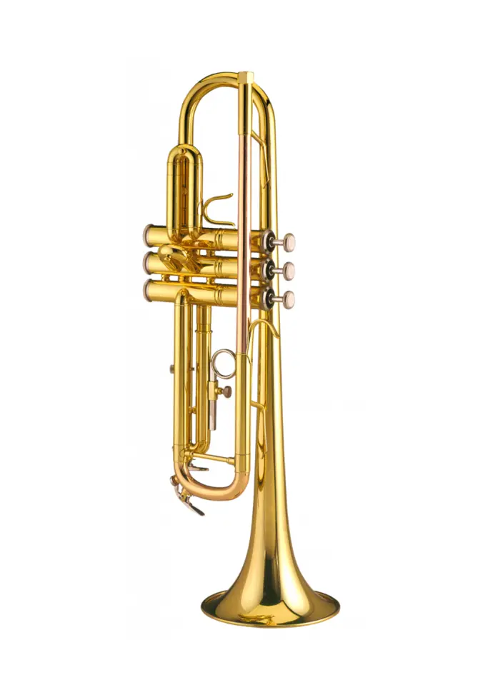Schagerl 355 Advanced Student Bb Trumpet  Lacquered Finish