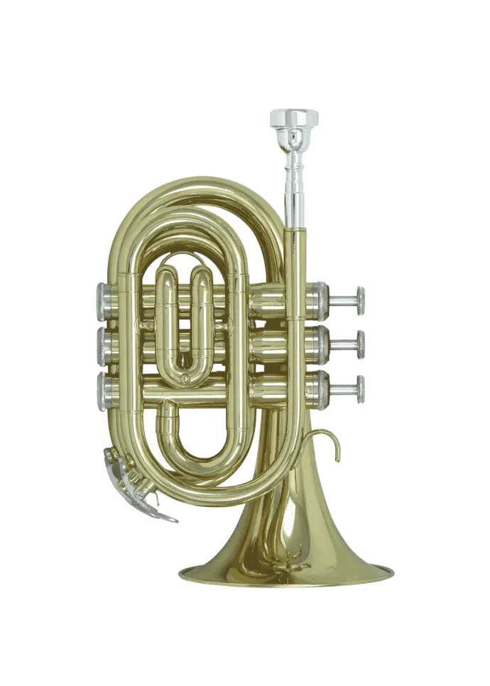 Schagerl Bb Pocket Trumpet - Lacquer