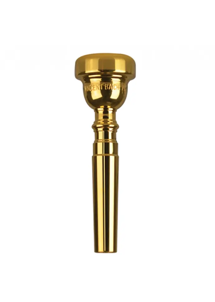 Bach Trumpet Mouthpiece Gold Plate 5C