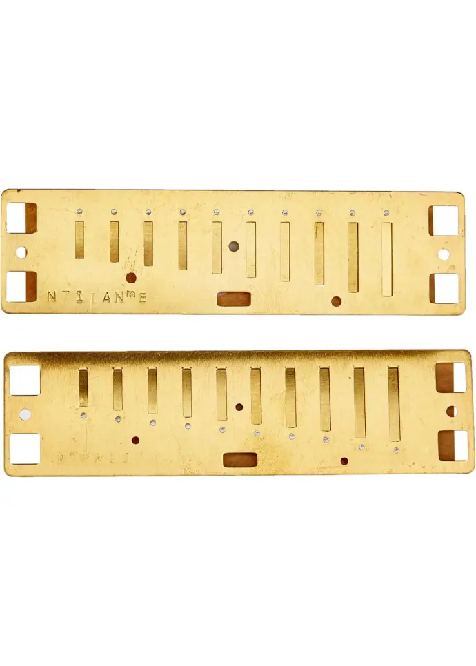 Lee Oskar Major Diatonic Reed Plate