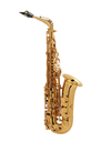 Selmer Paris SA80 II Alto Saxophone 
