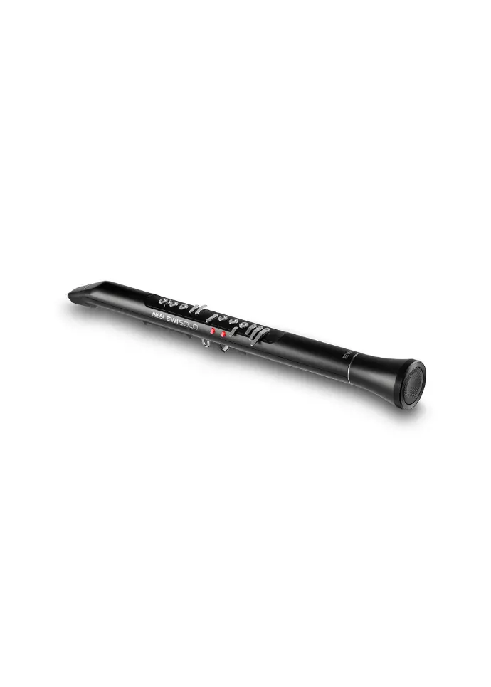 EWI Solo - Electronic Wind Instrument with onboard sounds and inbuilt speaker