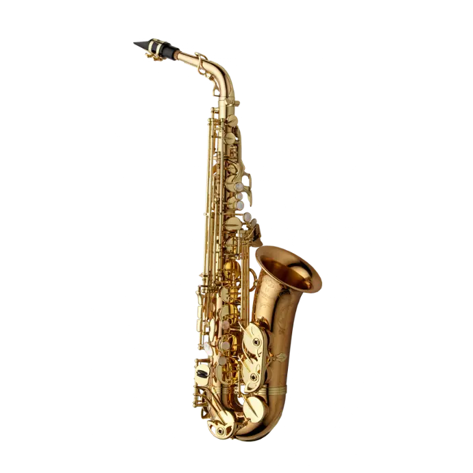 Yanagisawa A-WO20 Elite Bronze Alto Saxophone