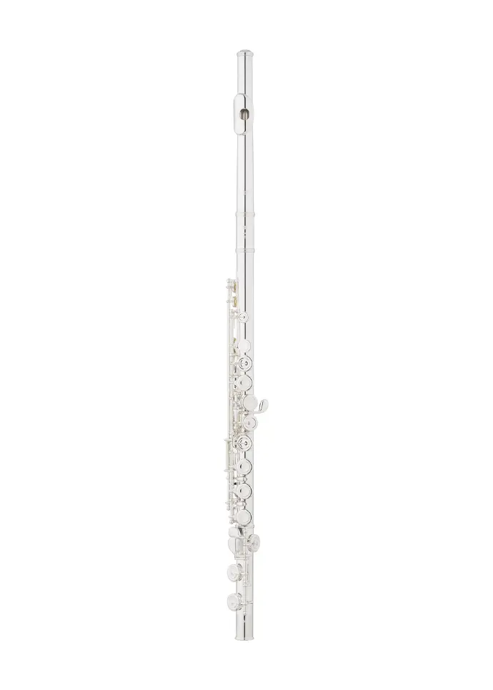 Eastman EFL214SE-CO flute