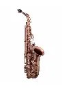Jupiter JAS1100 Limited Edition Alto Saxophone Burnished Auburn