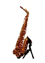 Ex Rental Temby Debut Alto