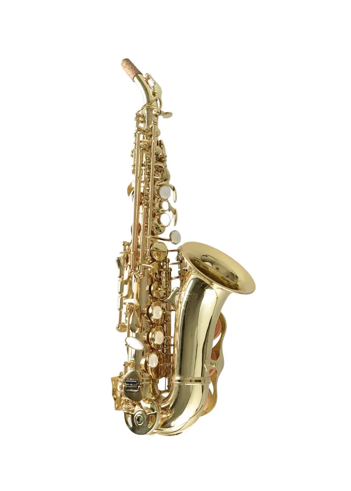 Temby Gold Lacquer Curved Soprano Saxophone