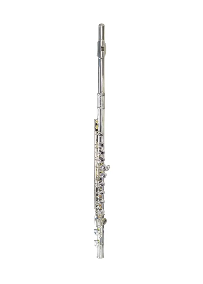 Temby Signature Flute w/ Split E Key