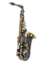 P. Mauriat 67RBX 20th Anniversary Edition Alto Saxophone