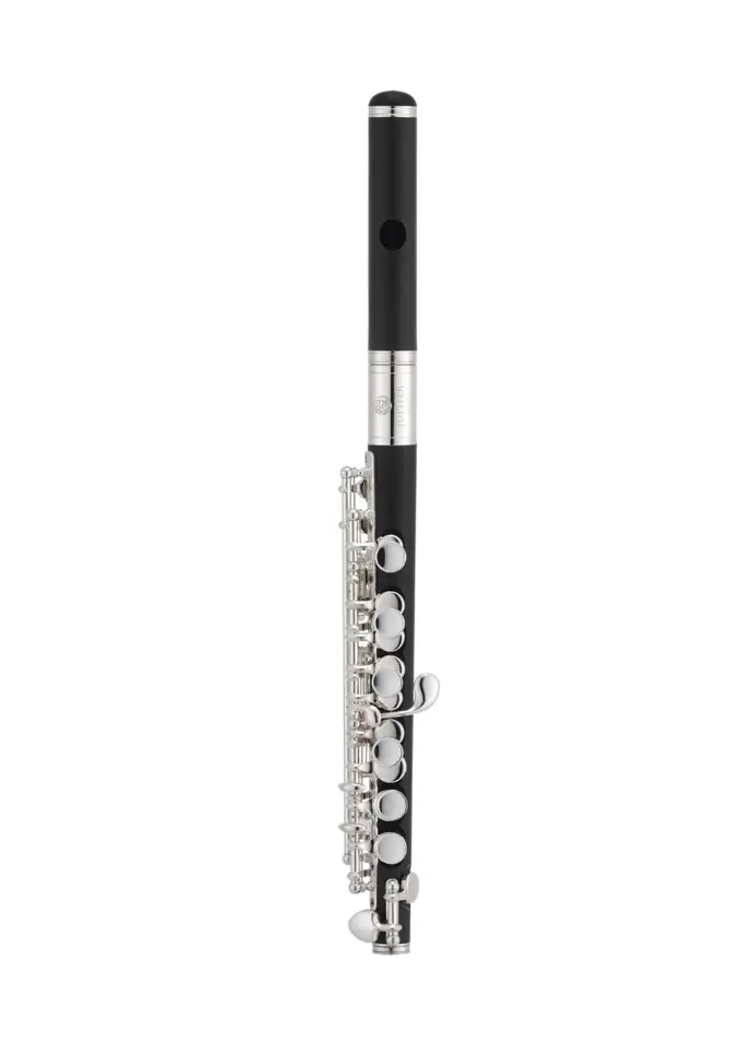 Jupiter 1010E Resin Piccolo