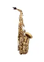 Jupiter JAS1100 Limited Edition Alto Saxophone Natural Brass