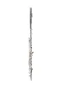 Temby Debut Flute