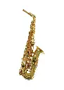 Temby Professional Alto Saxophone.