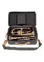 Gard Elite Compact Trumpet + Flugel Gig Bag - Synthetic Black/Tan