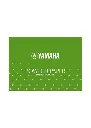 Yamaha Powder Paper