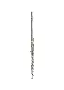 Avanti 1000CEF Open Hole, Silver HJ, C Ft Flute