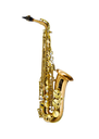 Forestone Japan Red Brass RX Series Alto Saxophone