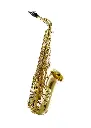 Forestone Japan RX Series Alto Saxophone