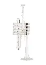 Eastman ETR823S Piccolo Trumpet (demo)