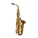 Yanagisawa A-WO20 Elite Bronze Alto Saxophone