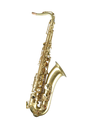 Temby Custom Matte Gold Tenor Saxophone - Silver Keywork