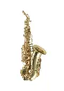 Temby Gold Lacquer Curved Soprano Saxophone