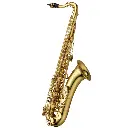 Yanagisawa T-WO10 Elite Tenor Saxophone