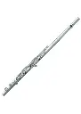 Pearl Quantz 665RE1R Flute, Open Hole with C Foot Joint