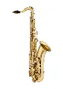 Eastman Rue St. Georges ETS650 Tenor Saxophone