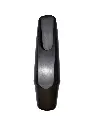 Beuscher SS (4).webp