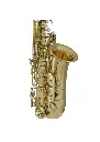 CSLLAS211 (1).webp