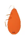 Rico Swab Small (1).webp