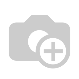Protege Silver 2.webp