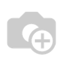 Protege Silver 2.webp