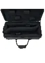 IP301D (1).webp