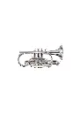 Adams CN2 Gold Brass Bb Cornet - Silver Plated