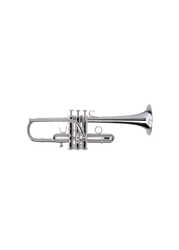 Adams Eb1 Yellow Brass Eb Trumpet - Silver