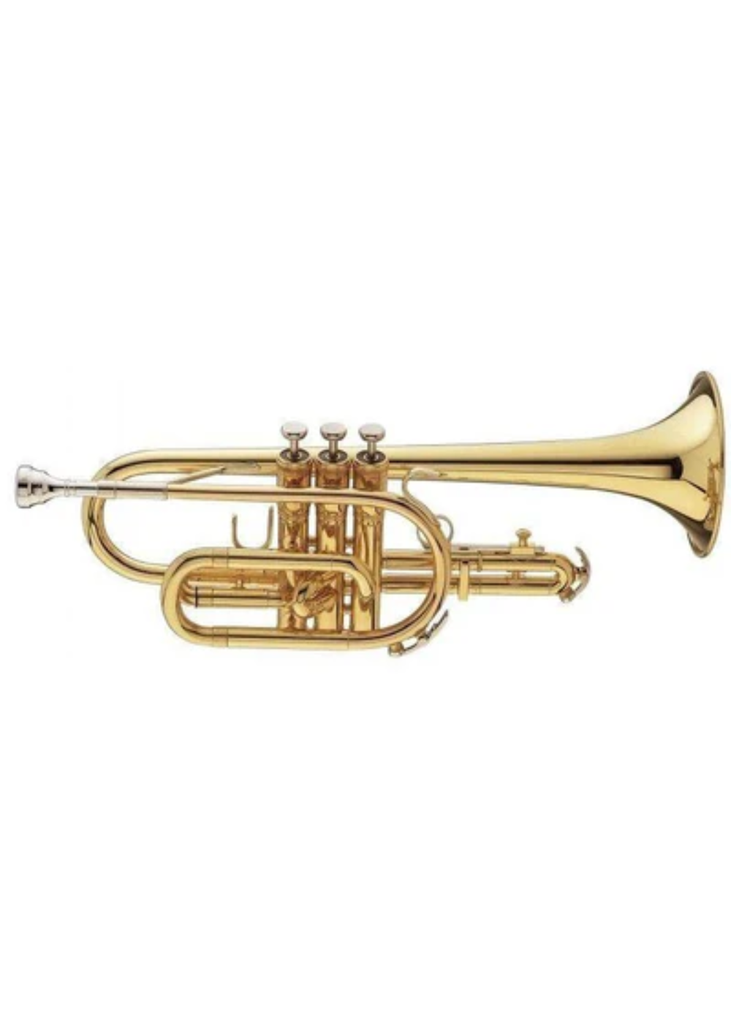 King 603 Lacquer Cornet