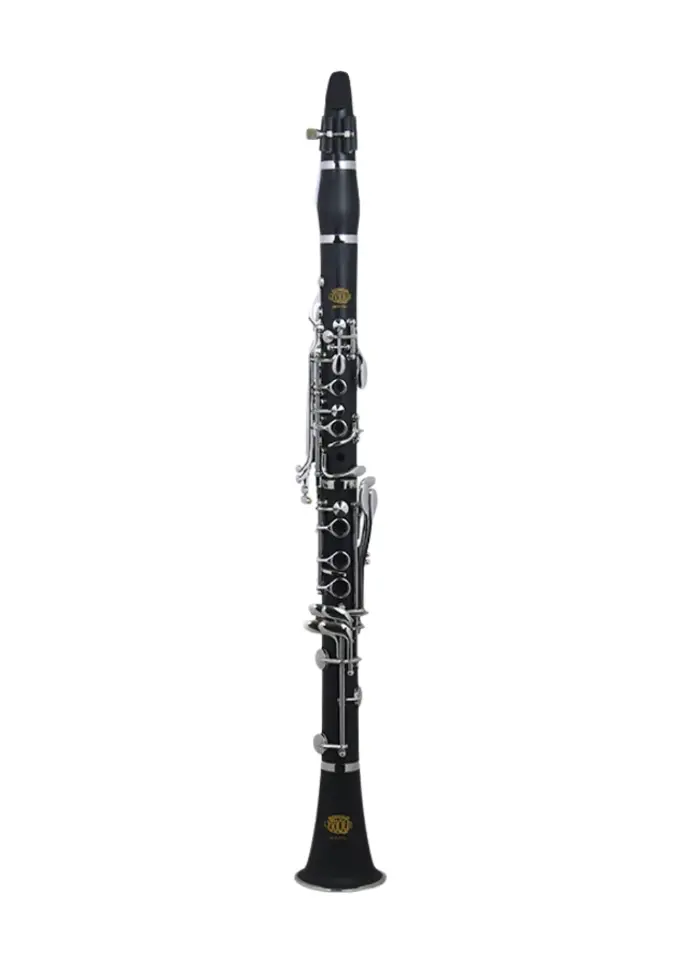 Ridenour Libertas Hard Rubber Bb Clarinet