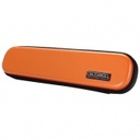 GL B foot Flute Case