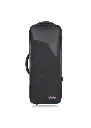 BAM Conservatoire Alto Sax Case